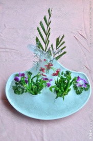 冰镇青菜  青菜