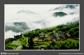 高山云雾