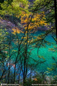 九寨沟 镜海