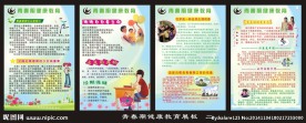 青春期健康教育展板