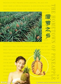 菠萝 封面