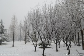 雪人 雪景 背景图
