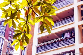 江南水都美域住宅区