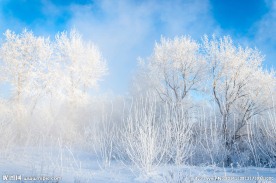 雪景