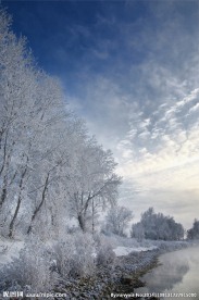 雪景