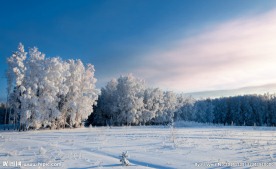 雪景