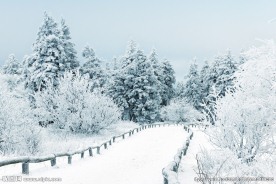 雪景