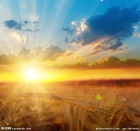 奥林匹克公园夕阳