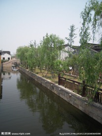 荡口风景