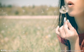 清新女生 蒲公英