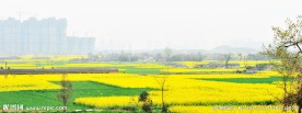 乡村
