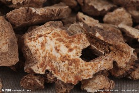 优质苍术中药摄影图