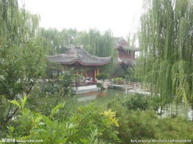 园博园风景
