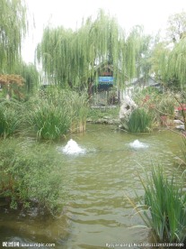 园博园风景