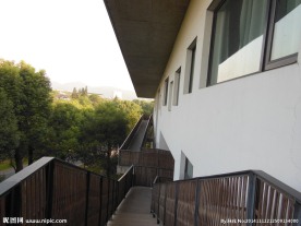 中国美术学院