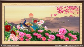 花开富贵孔雀图