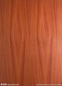 原木木材纹理摄影