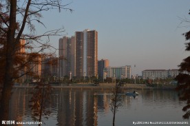 城市