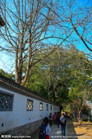 雄村