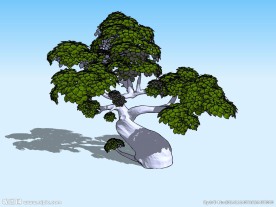 卡通树3D模型