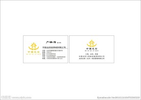 中国光彩投资