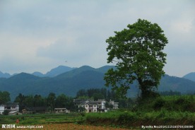 湄潭县新农村