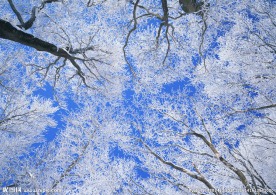 唯美雪景