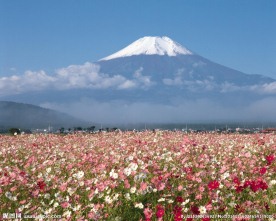 日本风光