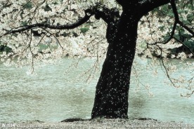 日本风光