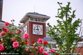 枣庄实验学校