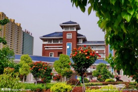 枣庄实验学校