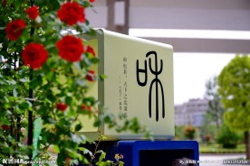 枣庄实验学校