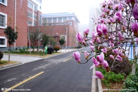 枣庄实验学校