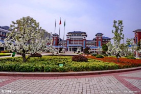 枣庄实验学校