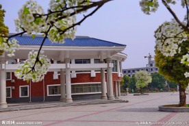 枣庄实验学校