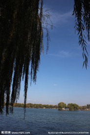 柳树湖水蓝天