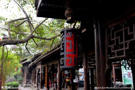 大院