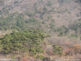 山坡