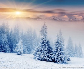 冬季雪景