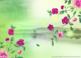 花好映江南影视背景墙