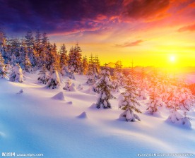 雪地