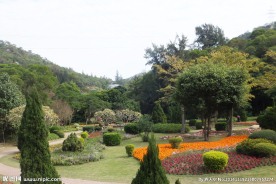 植物园