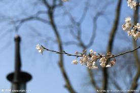 杭州太子湾