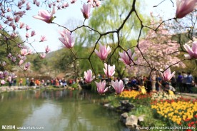 杭州太子湾