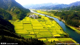新农村