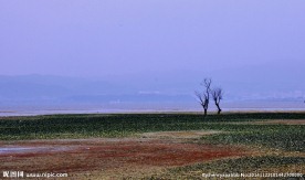 洱海风景