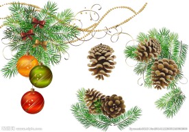 松塔 矢量 圣诞