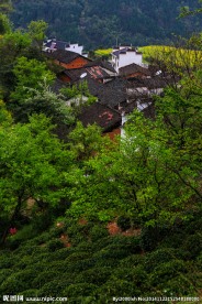 婺源查平坦村