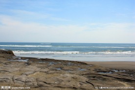 新西兰鸟岛风景