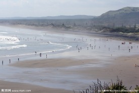 新西兰鸟岛风景